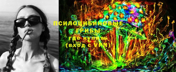 спайс Алексин