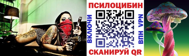 Купить  Энем  Псилоцибиновые грибы MAGIC MUSHROOMS 